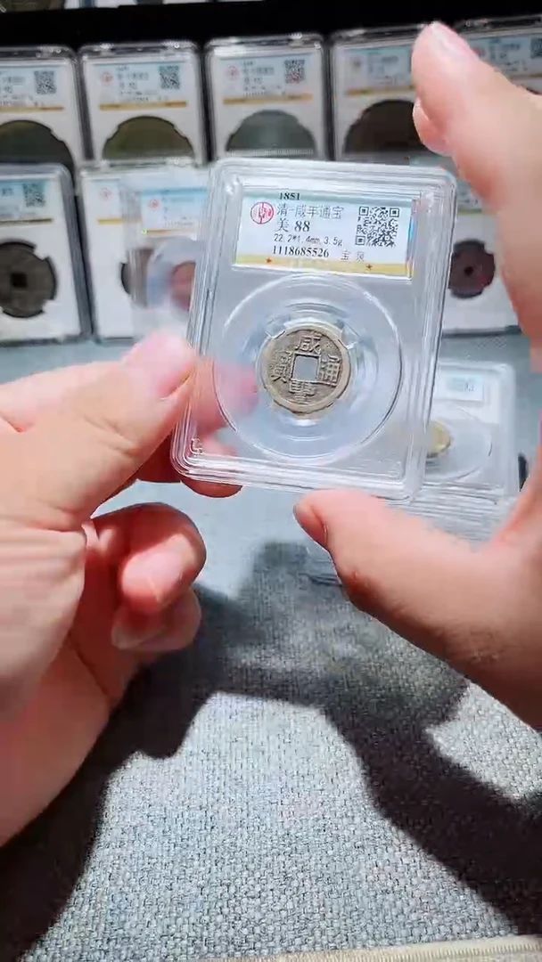 铜A147风公博咸丰通宝88分中央局一枚