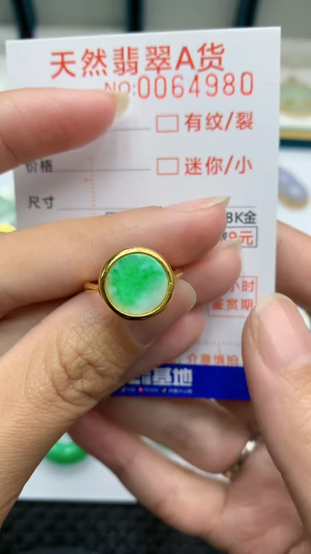 【闪购商品】翡翠颈饰银S925镶嵌            8