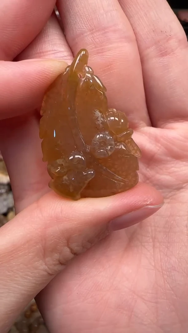 颈饰未镶嵌硅化珊瑚（珊瑚玉）153