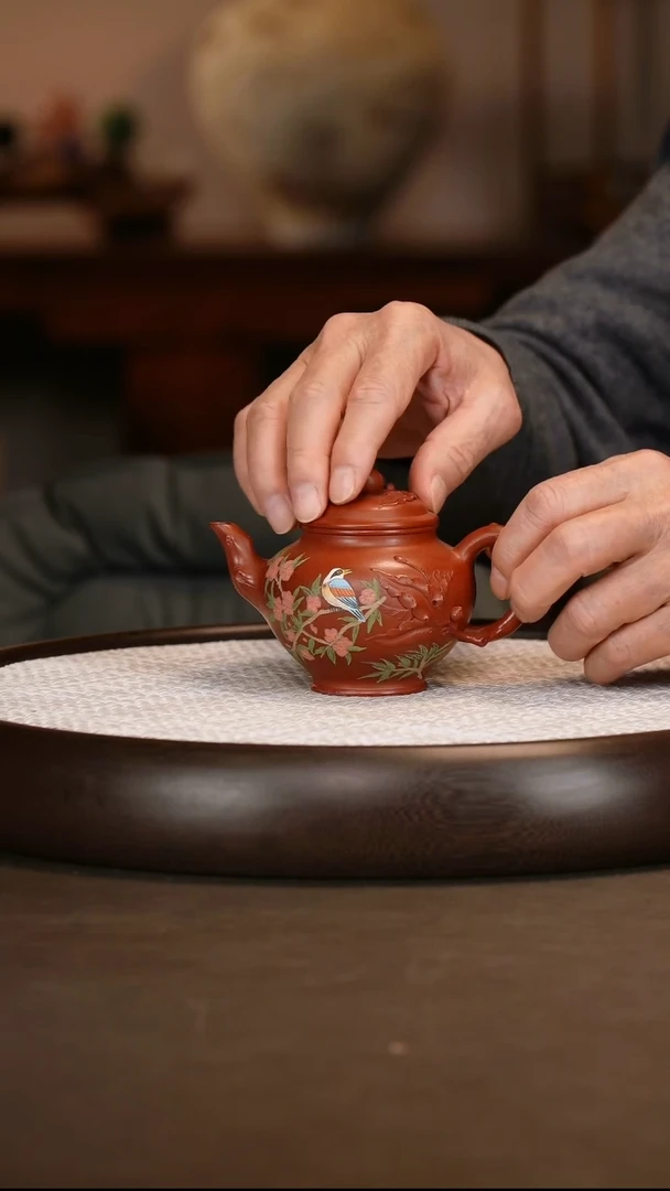 【鲍宜明】桃报春 陶研所大红袍 200c