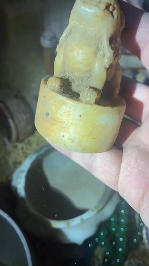 香榧木（1个小复利）