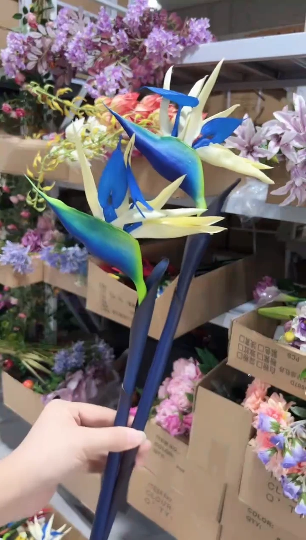 2枝蓝色天堂鸟
