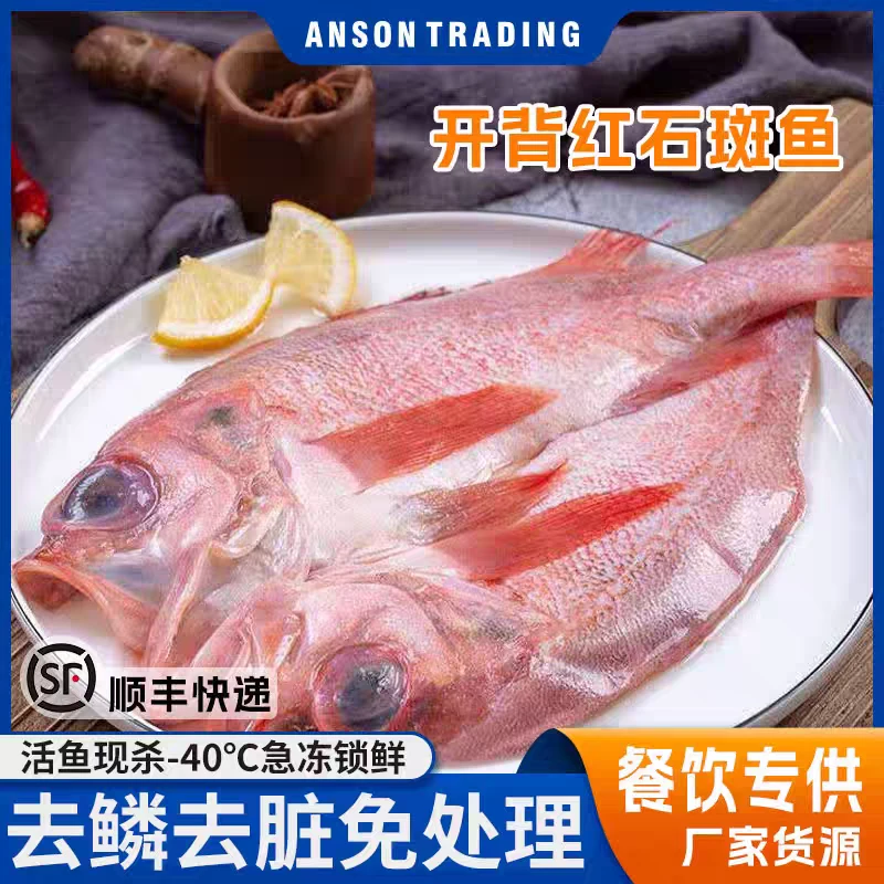 开背红石斑鱼 刺少肉多 去鳞去内脏