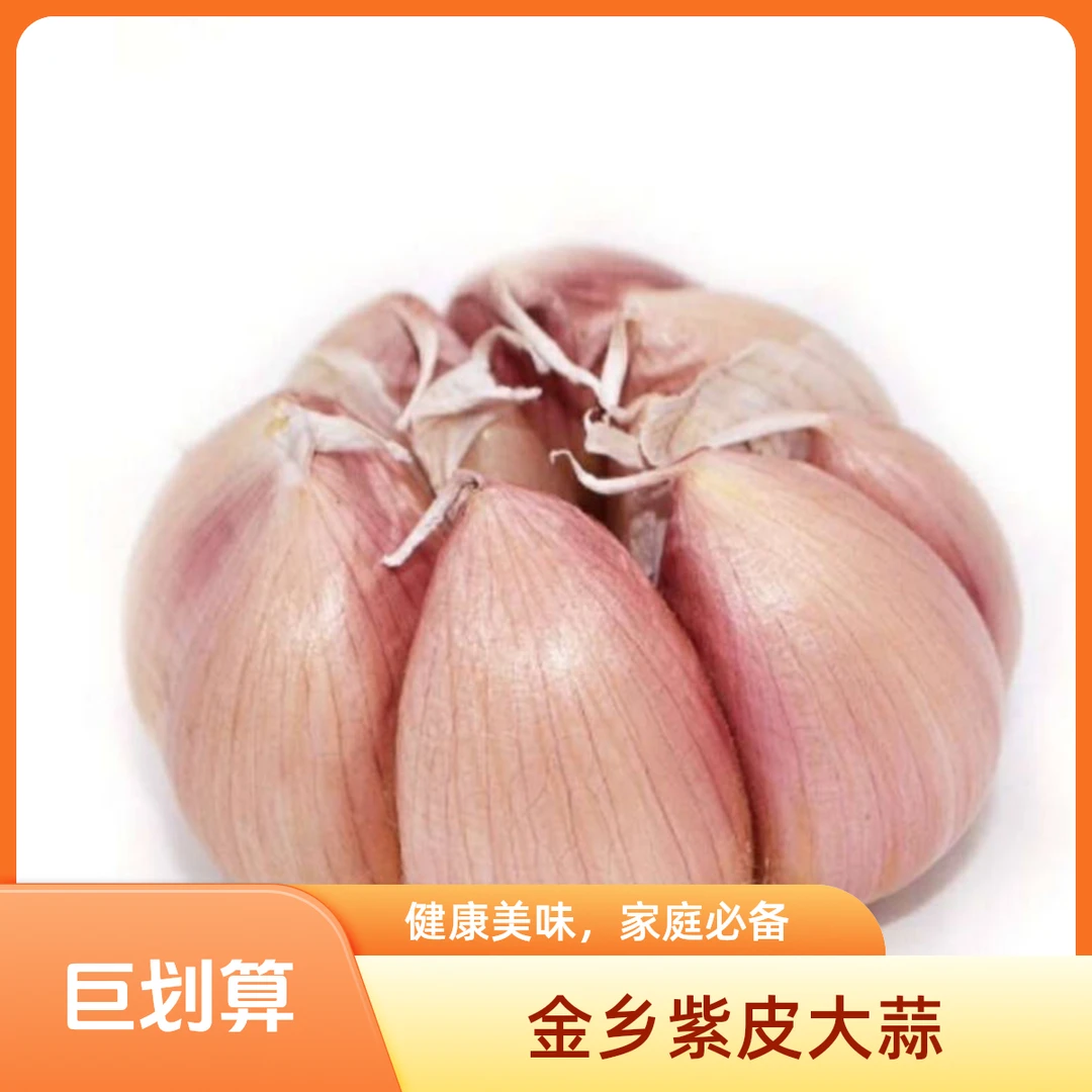 山东金乡紫皮干大蒜头辛辣味十足可种植