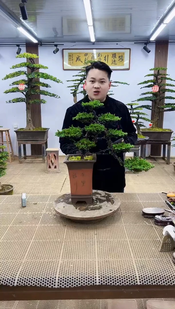 【闪购商品】000000000