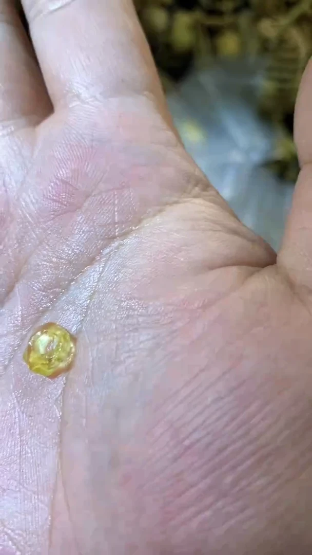 【闪购商品】琥珀颈饰未镶嵌86无相隔珠卡子