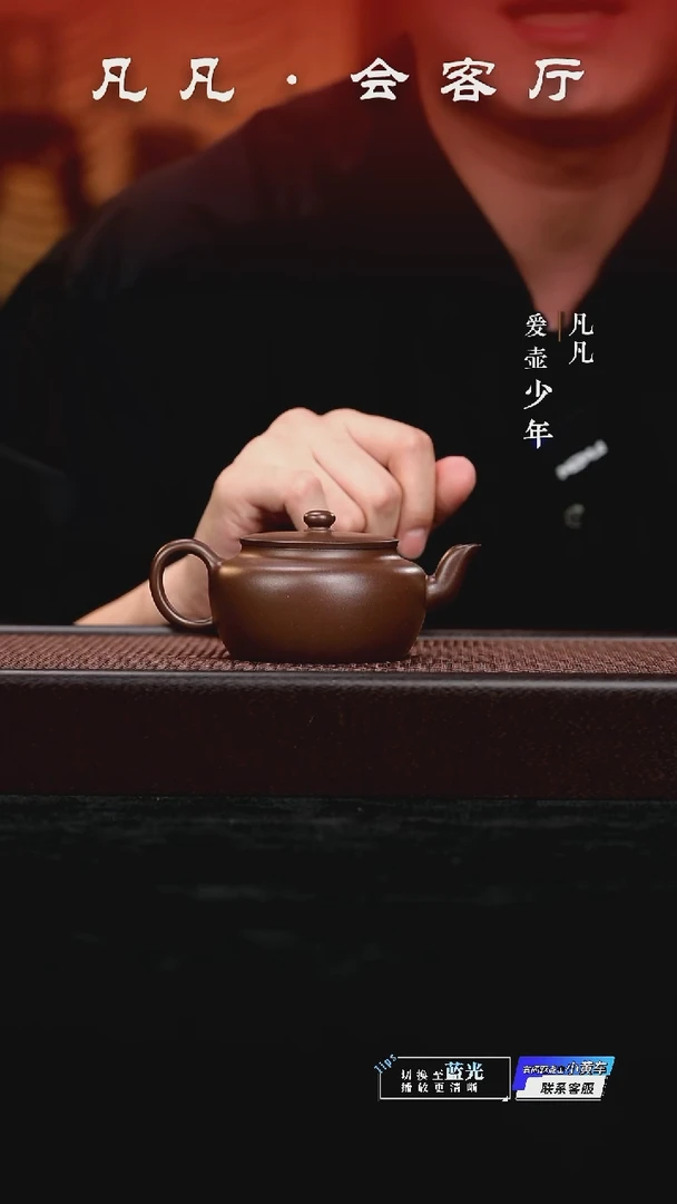 凡凡会客厅 潘俊昌紫砂壶27 平盖莲子紫泥190cc