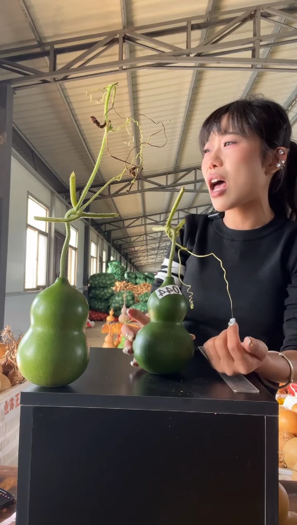 044天然葫芦摆件 一物一拍龙头不保售后