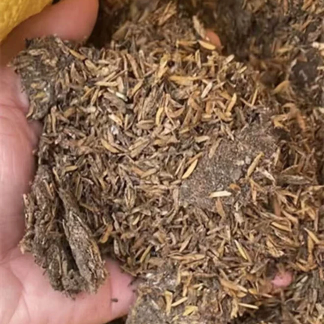 海岛专用鸭粪有机肥栀子花春花石枫通用