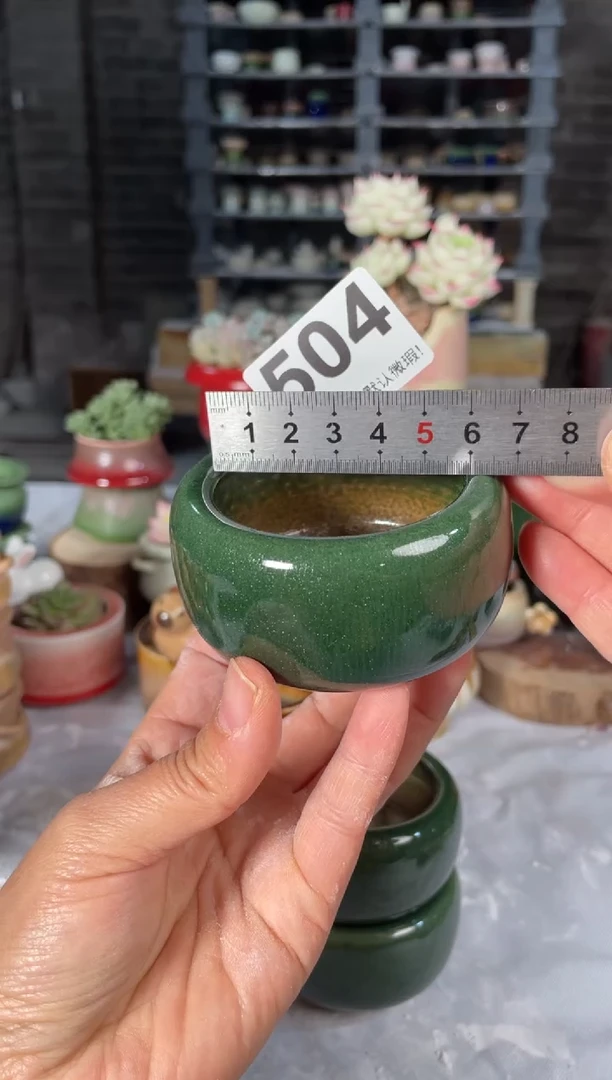 瓷片504小芳直播编号