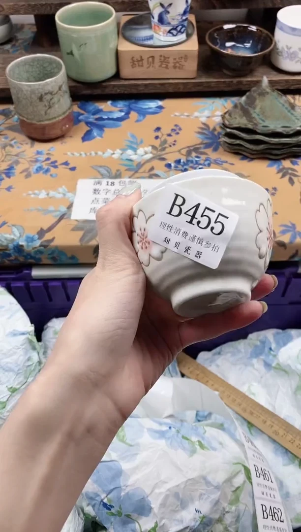 瓷片?****ᵃ                B455