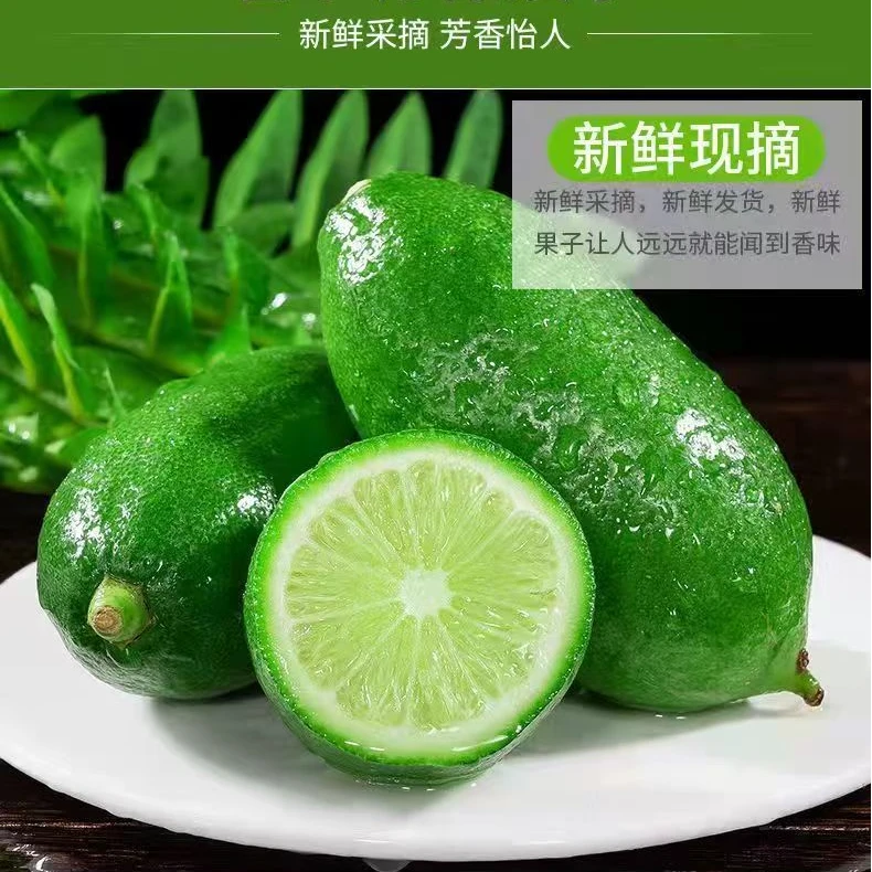 【回馈粉丝】香水青柠檬整箱薄皮新鲜水果酸爽多汁1斤装