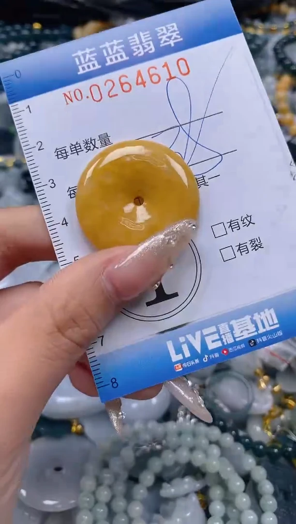 翡翠未镶嵌颈饰闪购0264610