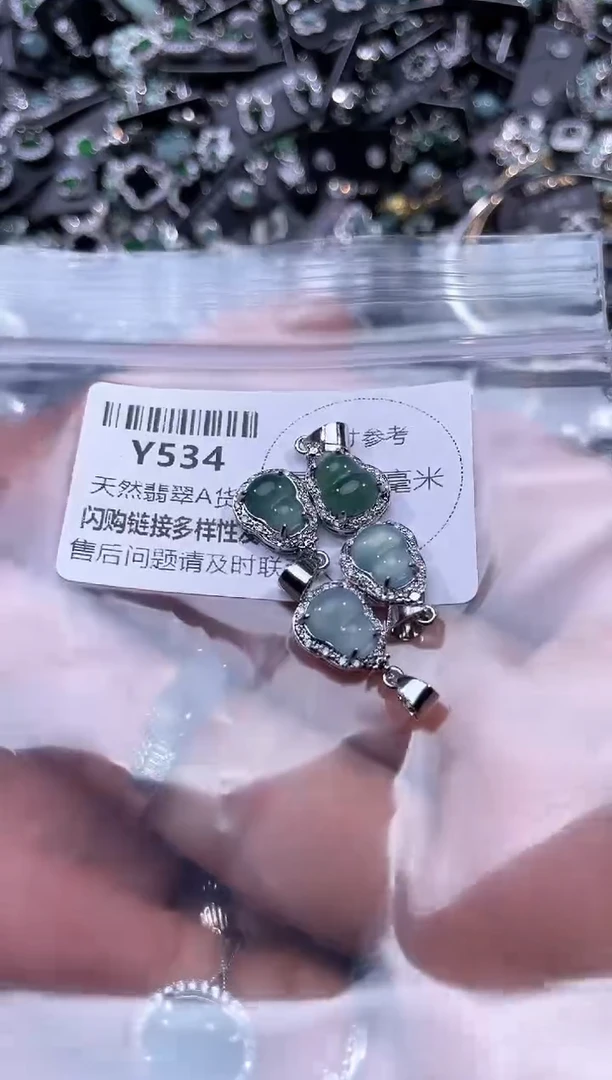 【闪购商品】翡翠颈饰未镶嵌Y534多样性发其一