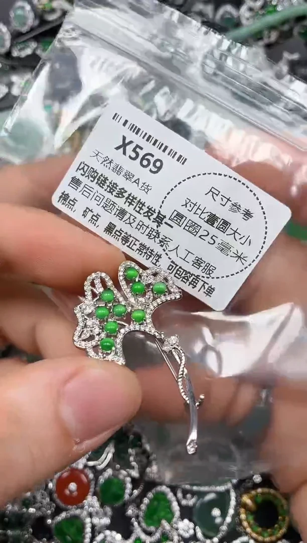 颈饰未镶嵌翡翠X569胸针