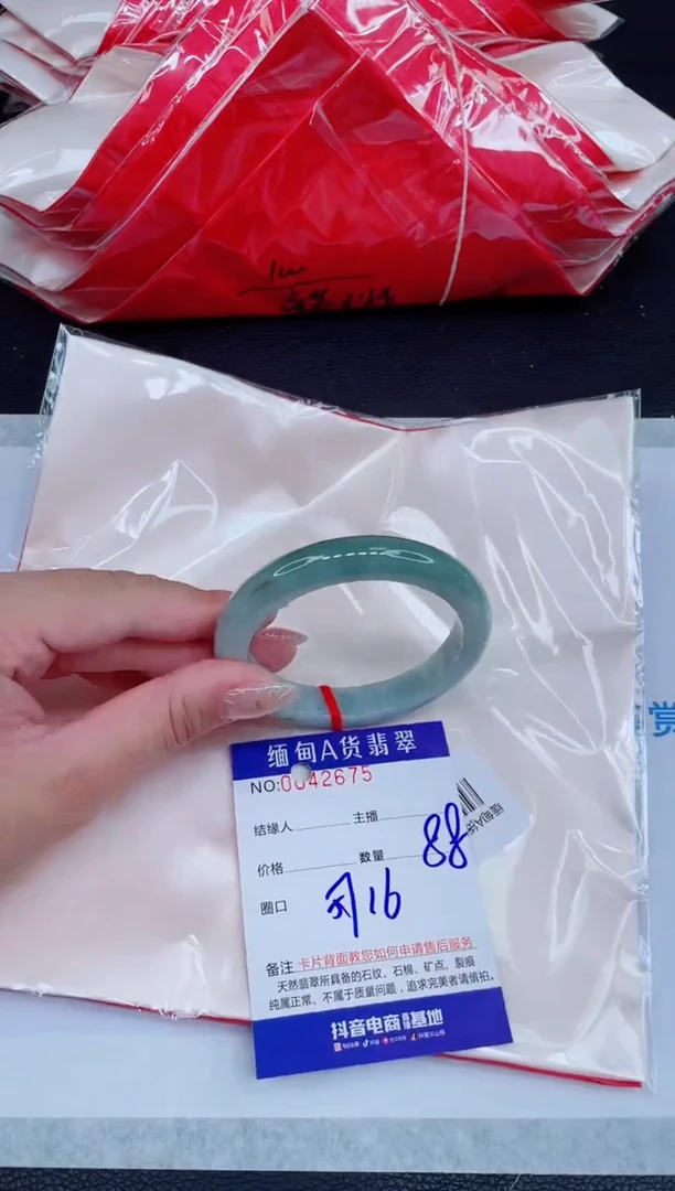 未镶嵌手镯翡翠0249277551
