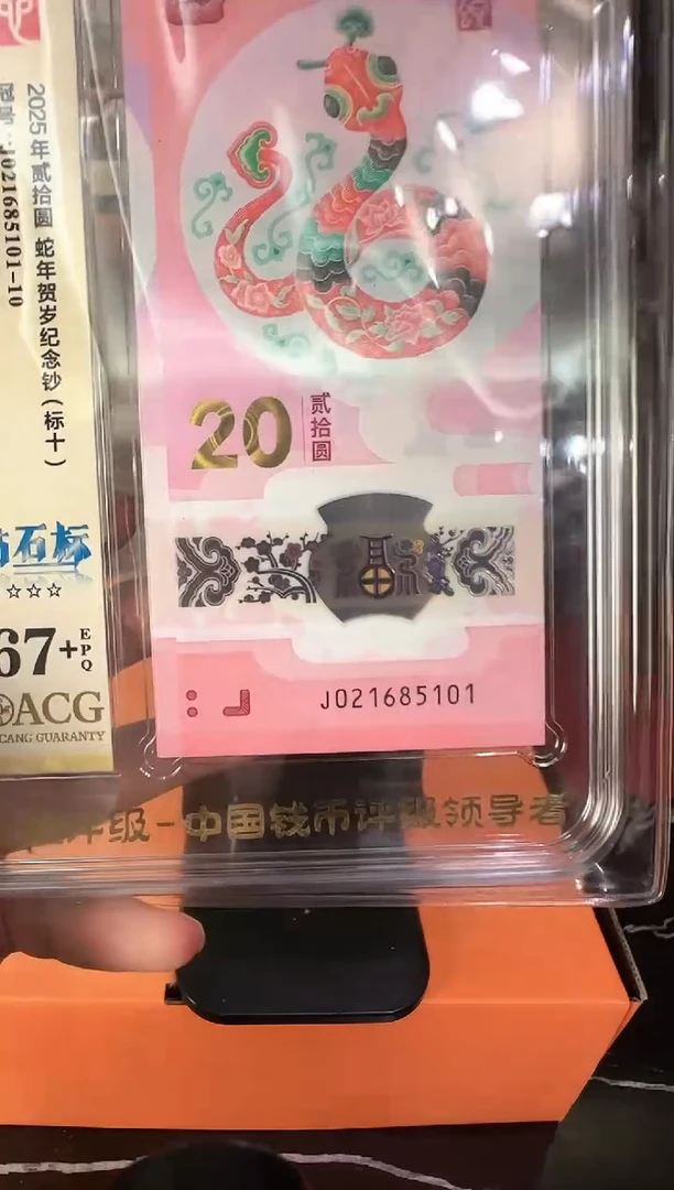 塑料2025蛇钞 爱藏标十 啊啊啊啊