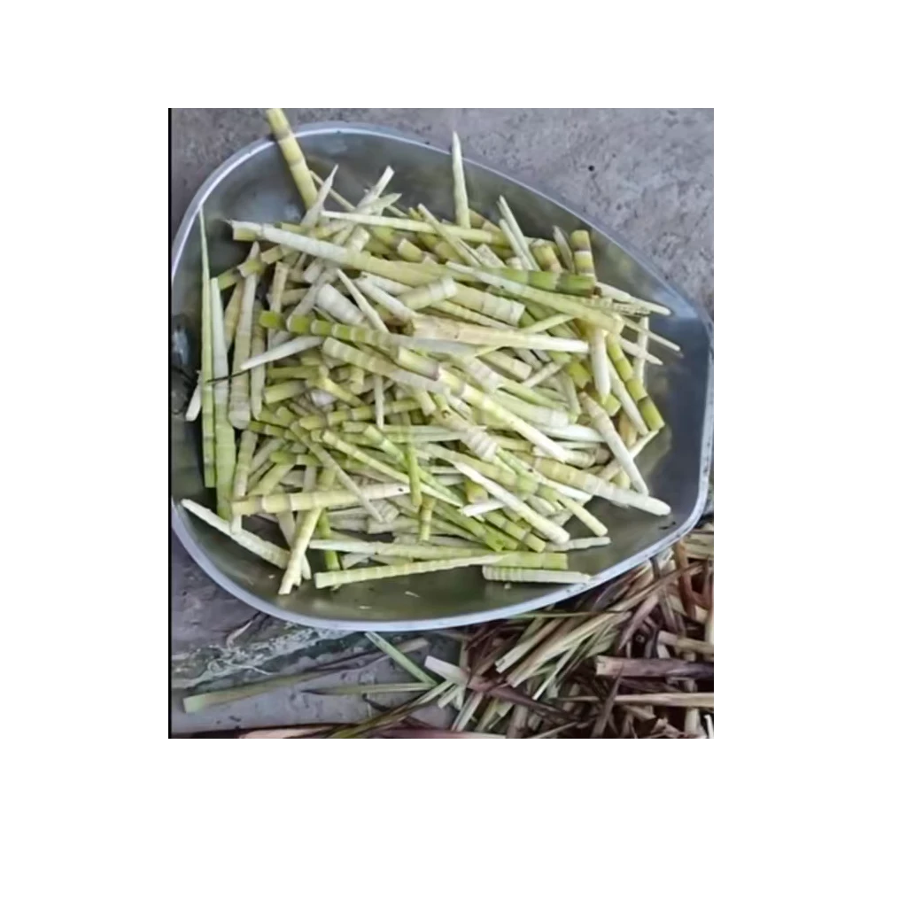 当季必备四川嫩笋尖脆嫩火锅食材方竹笋干