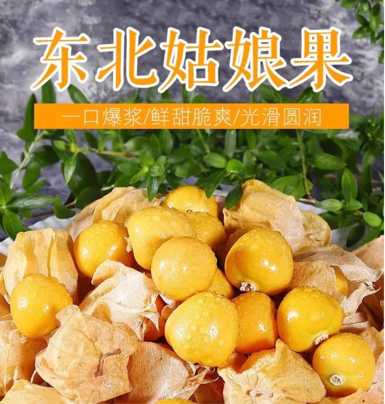 (顺丰快递)东北菇娘果 童年的味道 纯甜