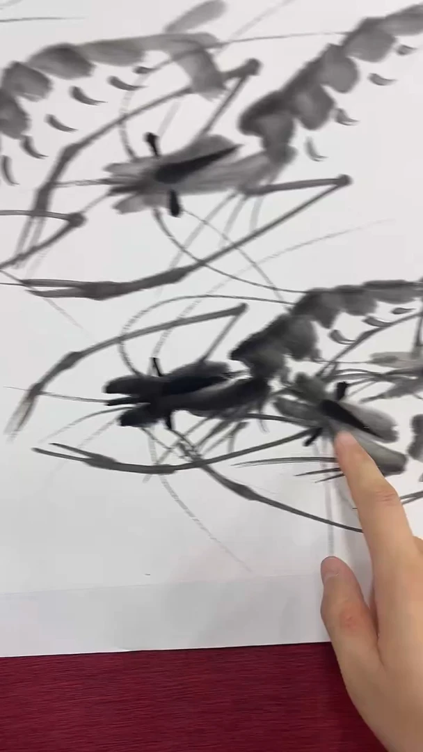 国画柳晓叶绘画2pc虾