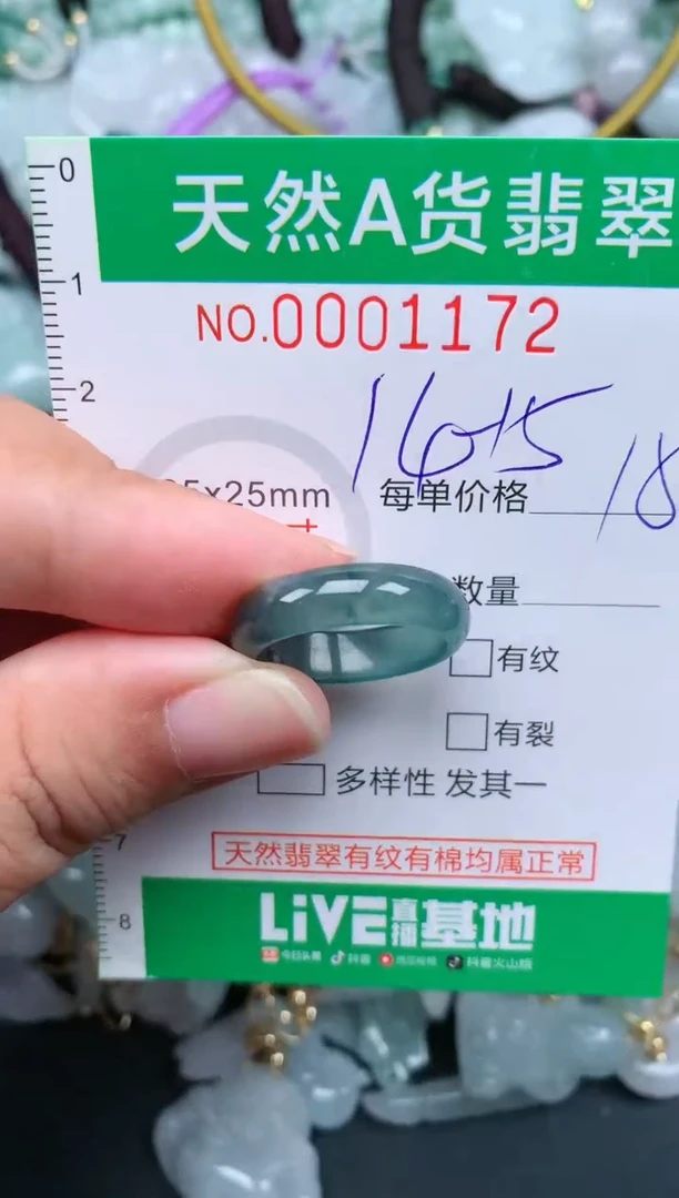 翡翠未镶嵌颈饰.0001172