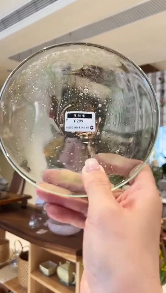 摆件00000000中号皿6129