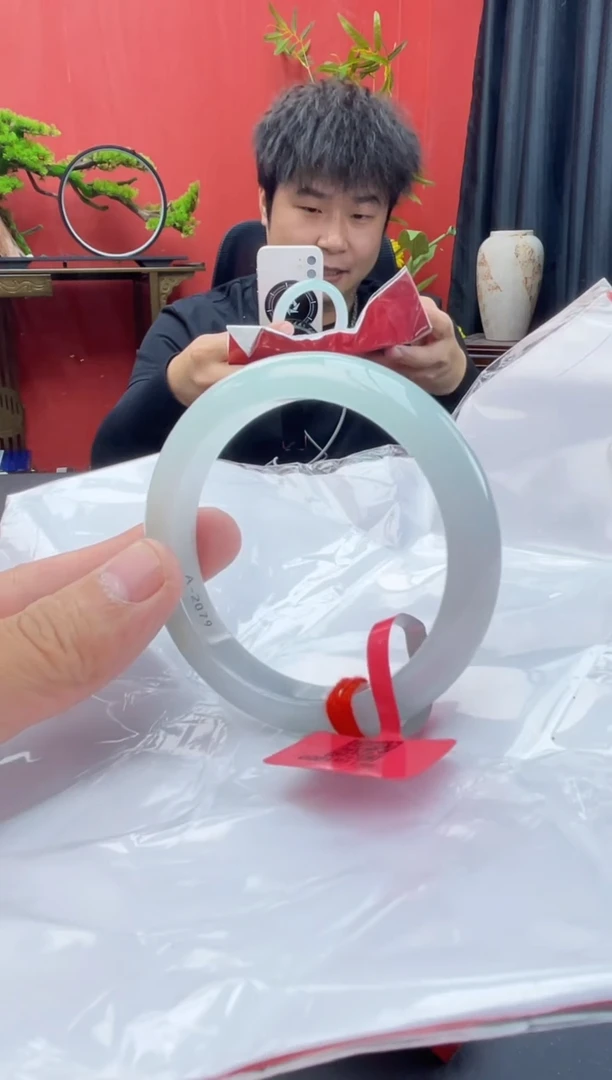 未镶嵌手镯翡翠14