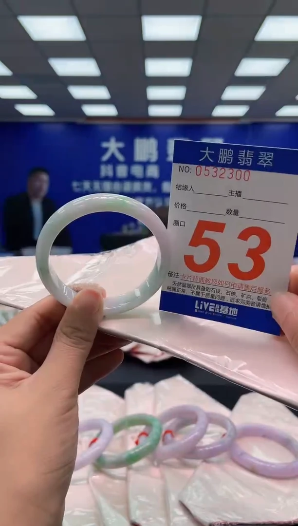 未镶嵌手镯翡翠AAAAAAAAAA