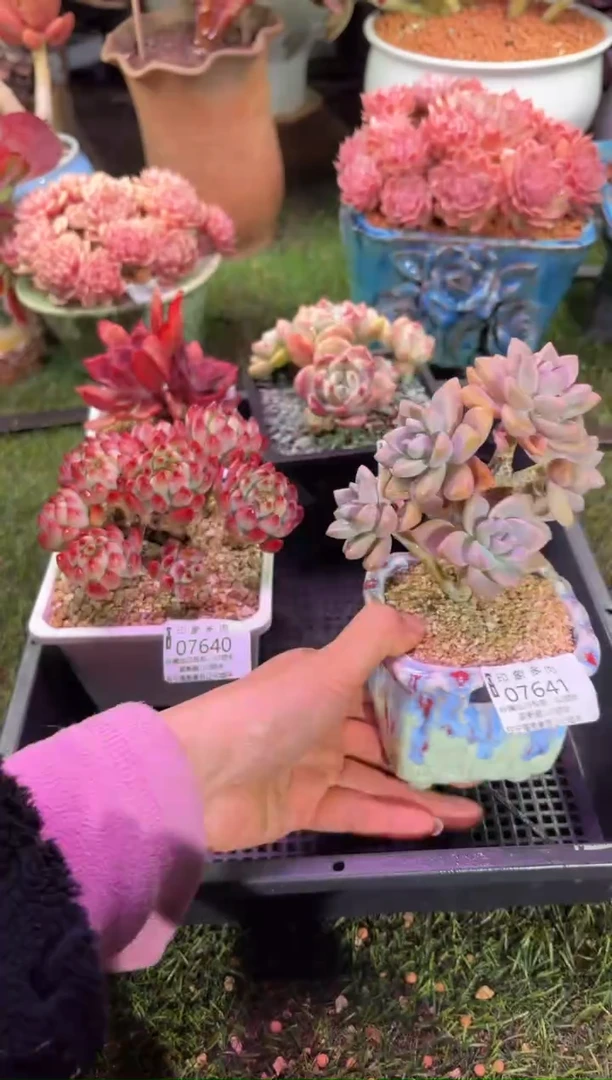 【闪购商品】07641