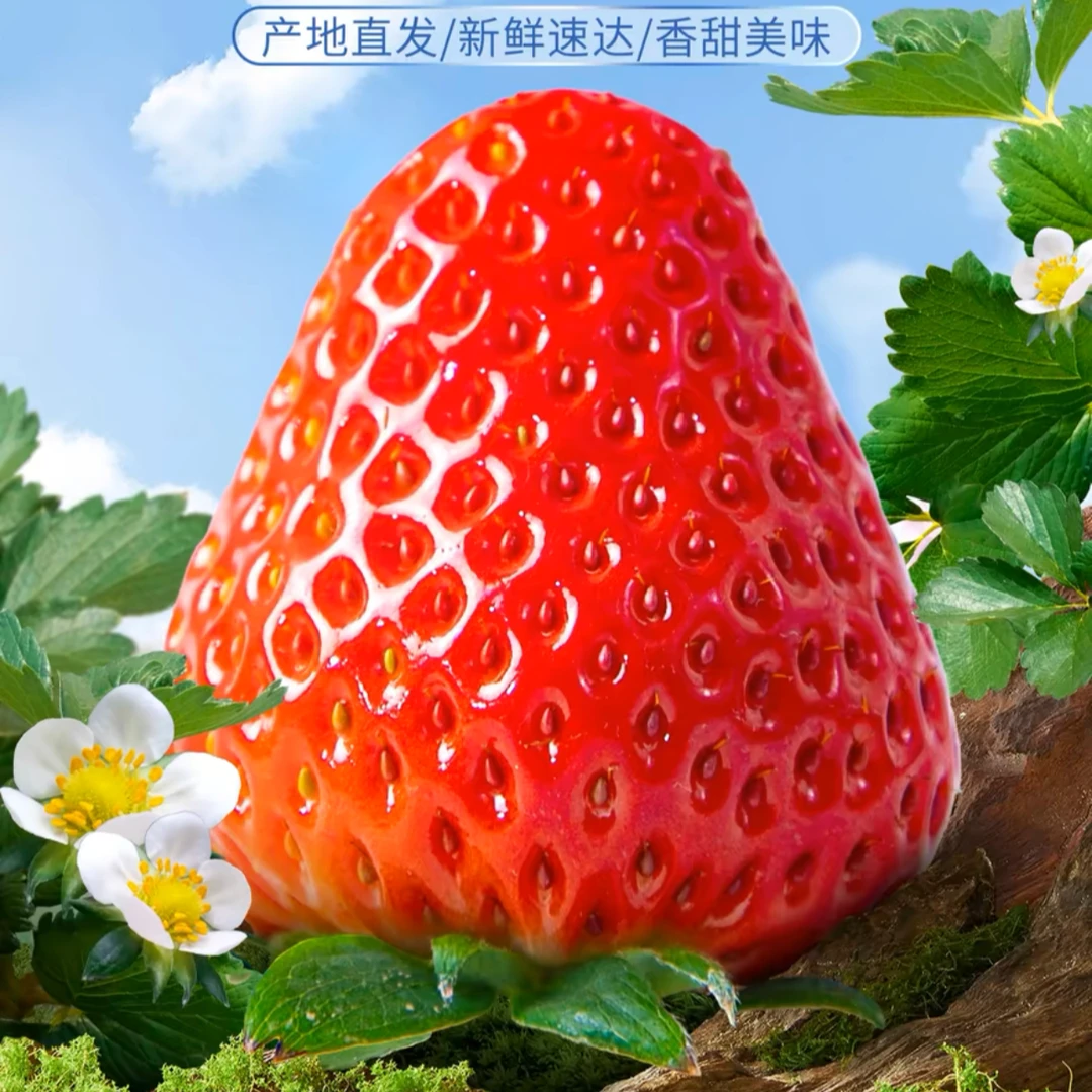 99草莓新鲜水果应季个大肉厚清甜多汁现摘现发小时达送货到家