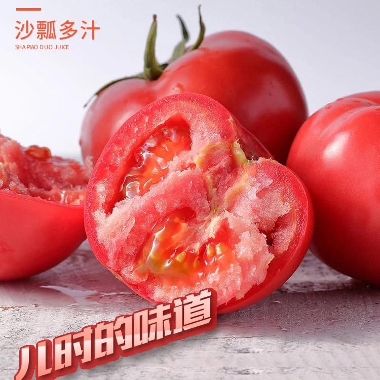 新疆沙瓤西红柿新鲜应季自然熟可当水果生吃的蔬菜番茄