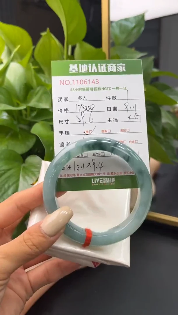 未镶嵌手镯翡翠多样性拍一发一