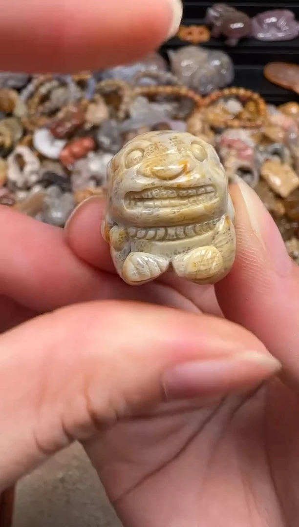 硅化珊瑚（珊瑚玉）未镶嵌颈饰247