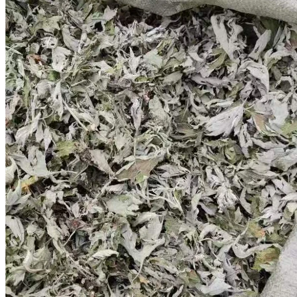 泡脚艾叶纯野生艾叶