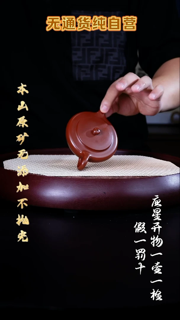 茶壶紫砂化工壶样品1