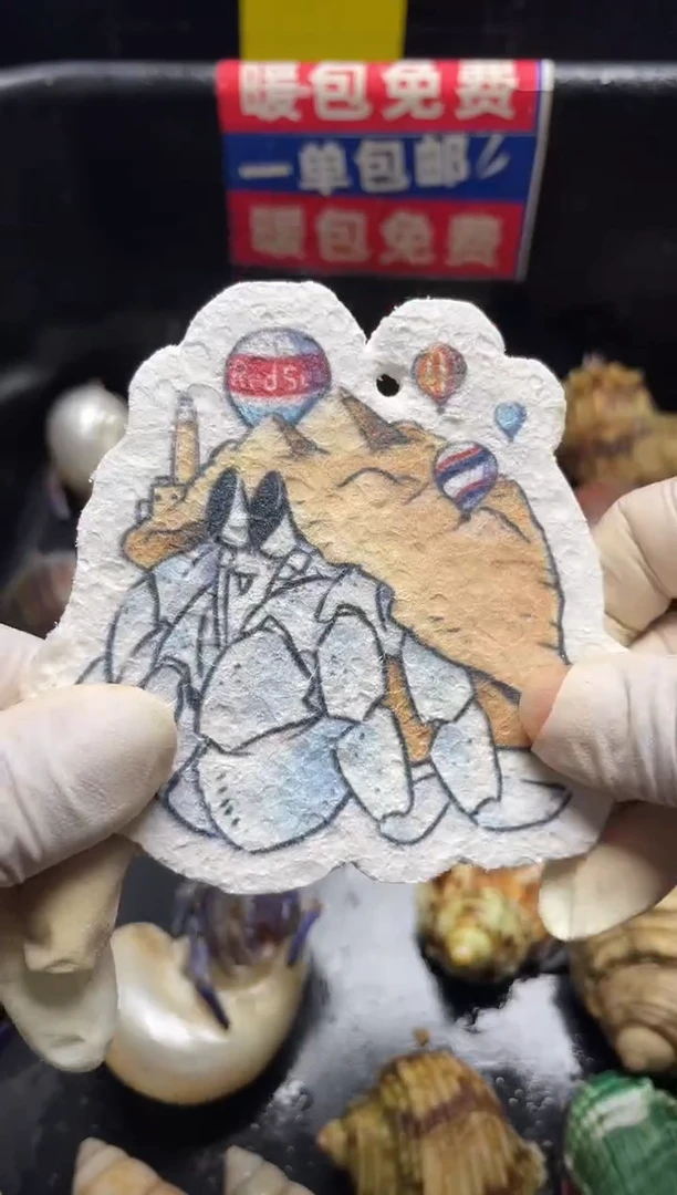 陌派帝国寄居蟹，4个头顶热气球的海绵