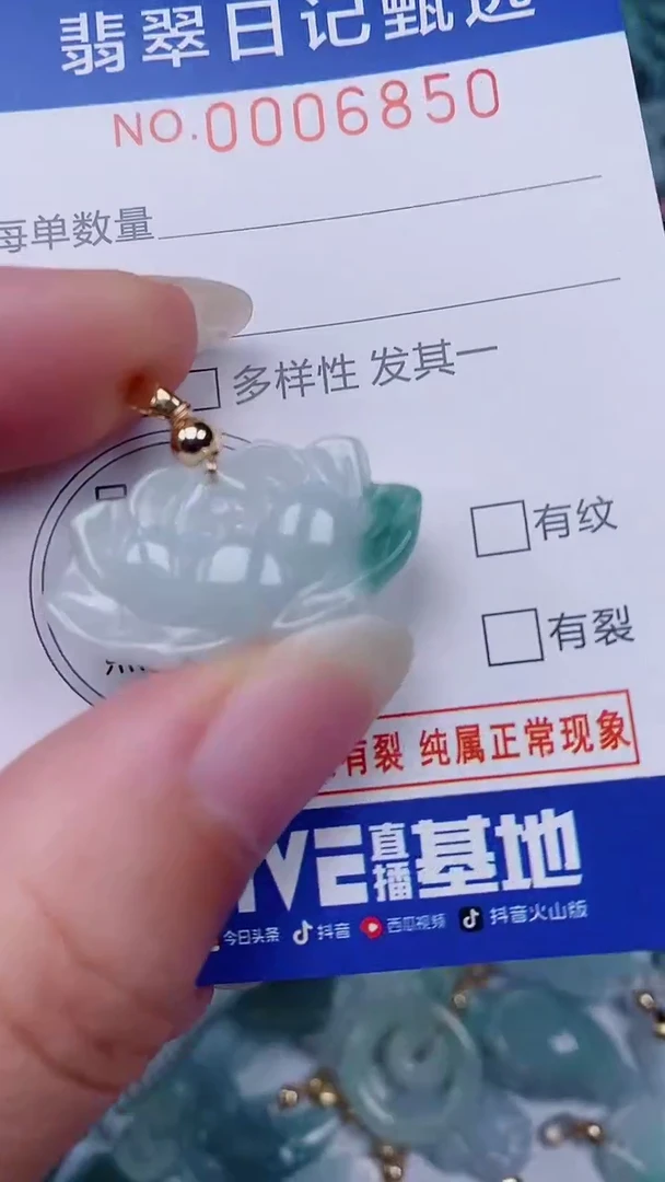 翡翠未镶嵌颈饰00006850