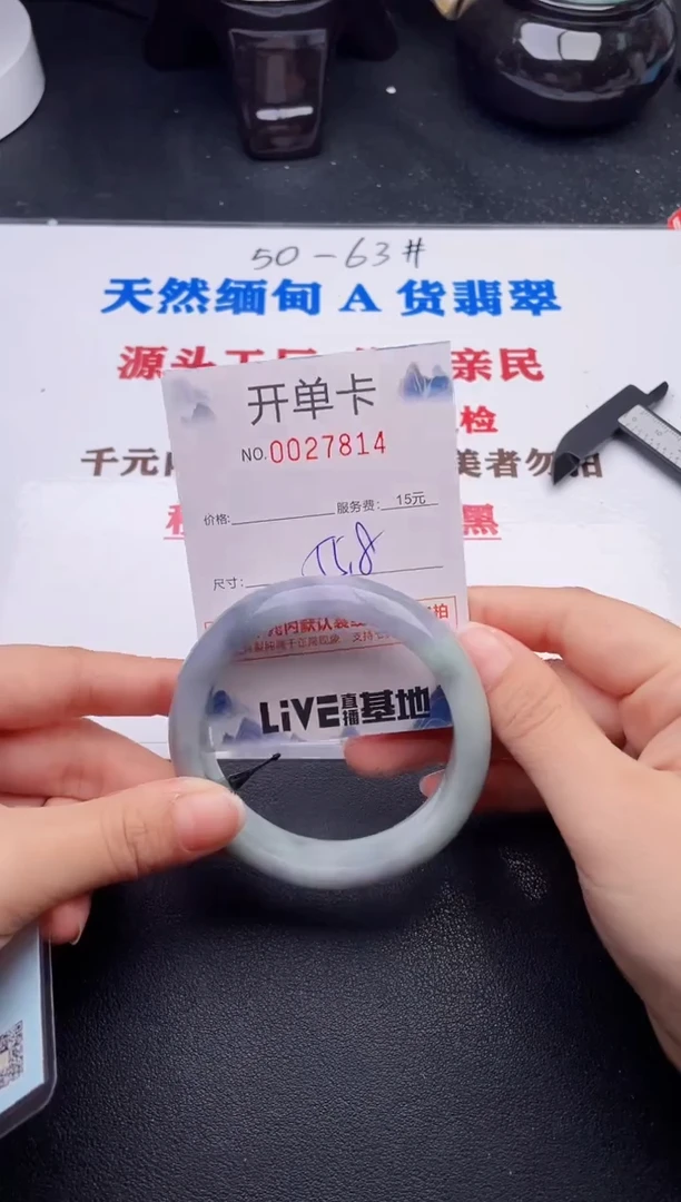 未镶嵌手镯翡翠14