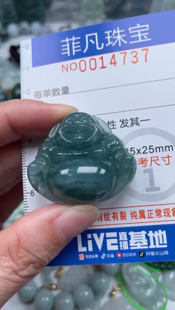 颈饰未镶嵌翡翠14737
