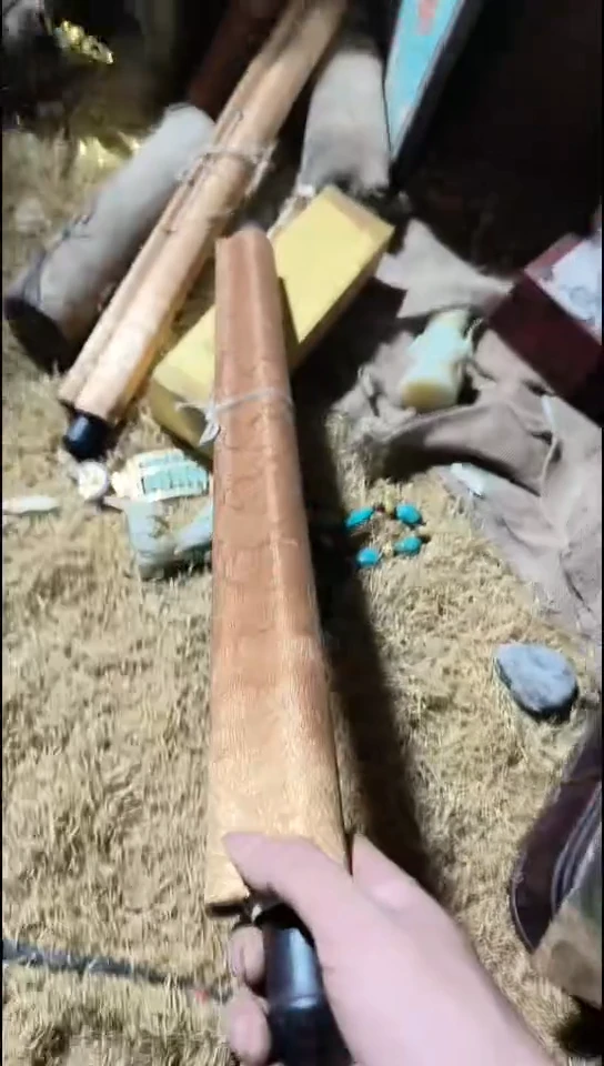 香榧木（1个黄色普通话0