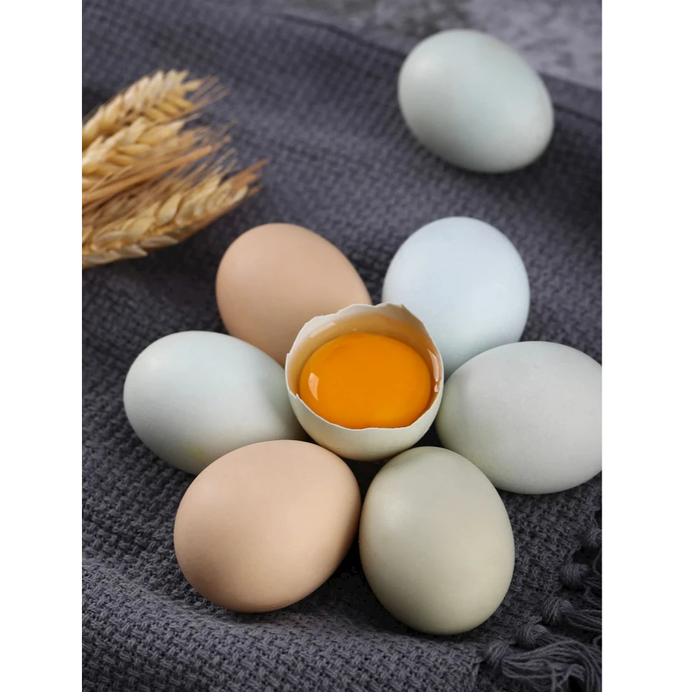 正宗农家散养土鸡蛋新鲜生鲜