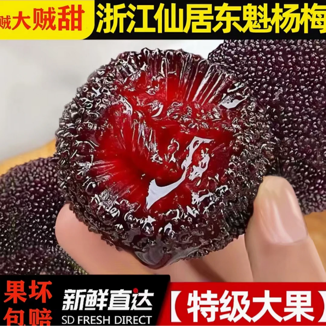 【免费升级】正宗仙居杨梅大果杨梅老少皆宜酸甜口沈阳发货