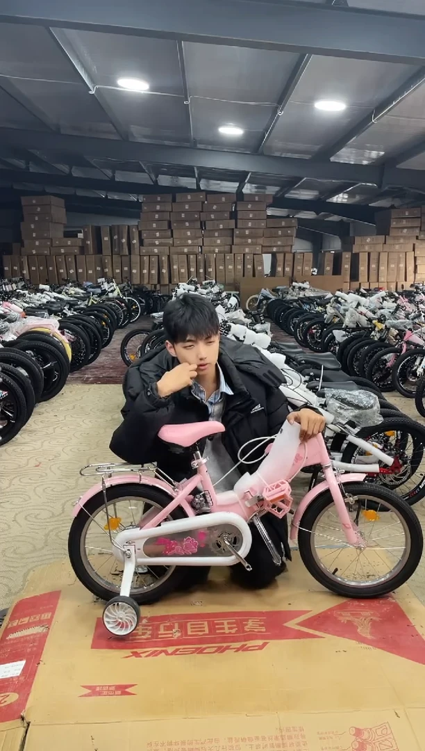 迪16寸-单速-粉色【微瑕运损，不退不换】