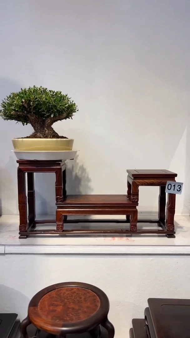 【闪购商品】紫砂1紫砂紫砂紫砂紫砂紫砂