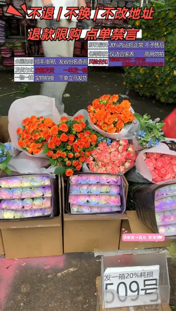 509号♥含20%耗损发一箱