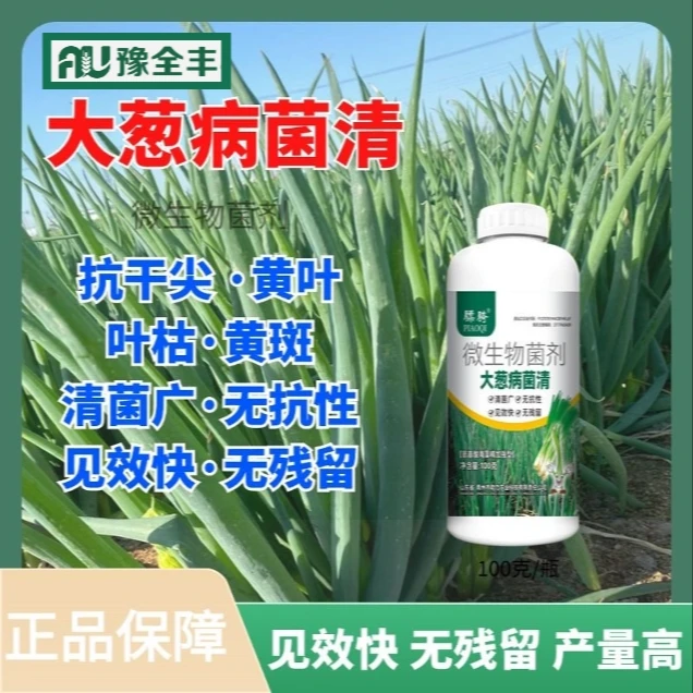 【豫全丰】大葱专用预防保护干尖黄叶锈根腐叶枯芝麻微生物菌剂