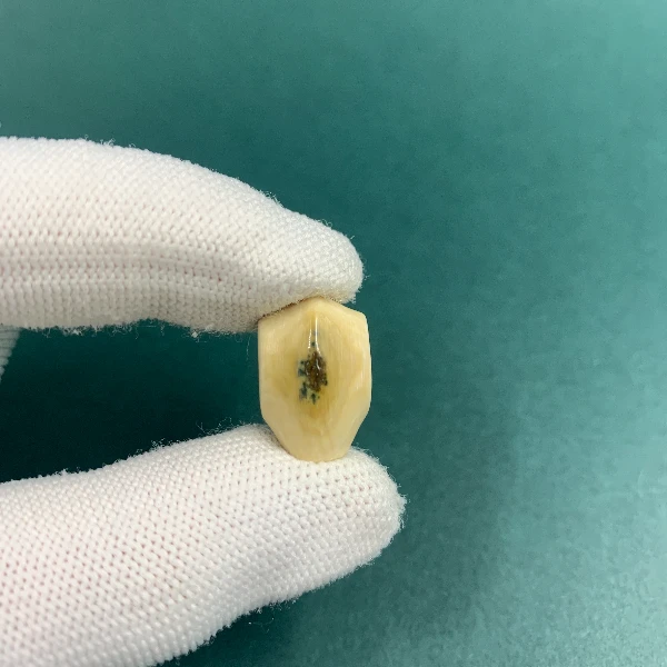 H5661天然猛犸猛犸牙精品三通支持鉴定假一罚四