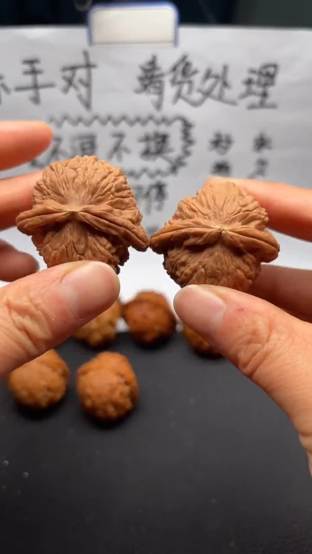 把件文玩核桃227白狮子