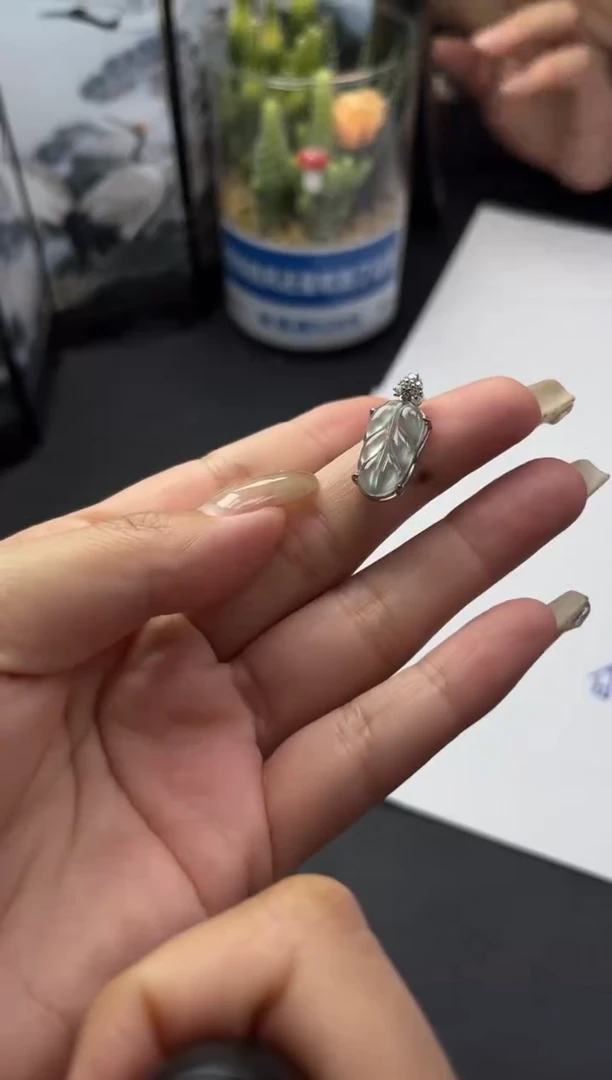 翡翠银S925镶嵌颈饰DY20250628104多样性发一件