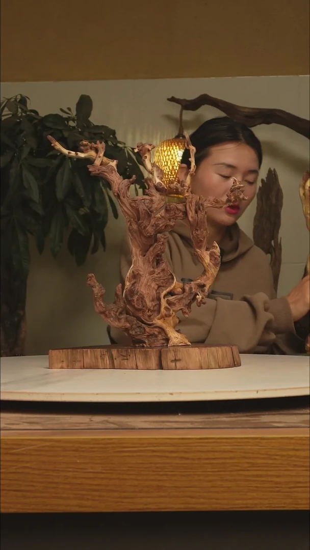 木立**帆金丝红木247